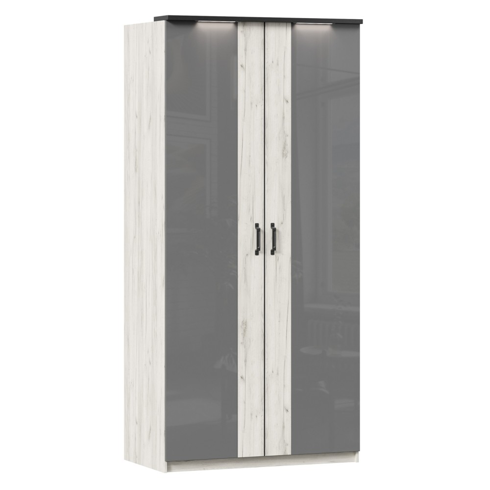 Техно Шкаф двухстворчатый с комбинированными дверями (Дуб Крафт белый/Серый шифер) LD53569